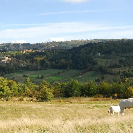 Daire - La Piaggia - Forest View On The Ground Floor 2 Guests Vivo dʼOrcia