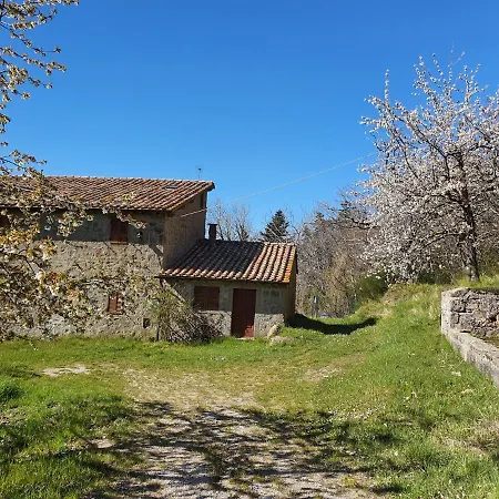 - La Piaggia - Forest View On The Ground Floor 2 Guests Daire