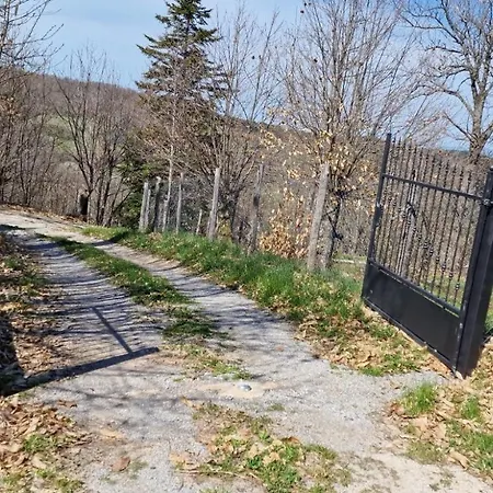 - La Piaggia - Forest View On The Ground Floor 2 Guests Daire *