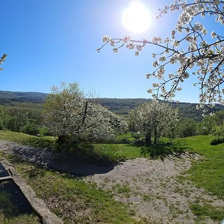 Daire - La Piaggia - Forest View On The Ground Floor 2 Guests Vivo dʼOrcia